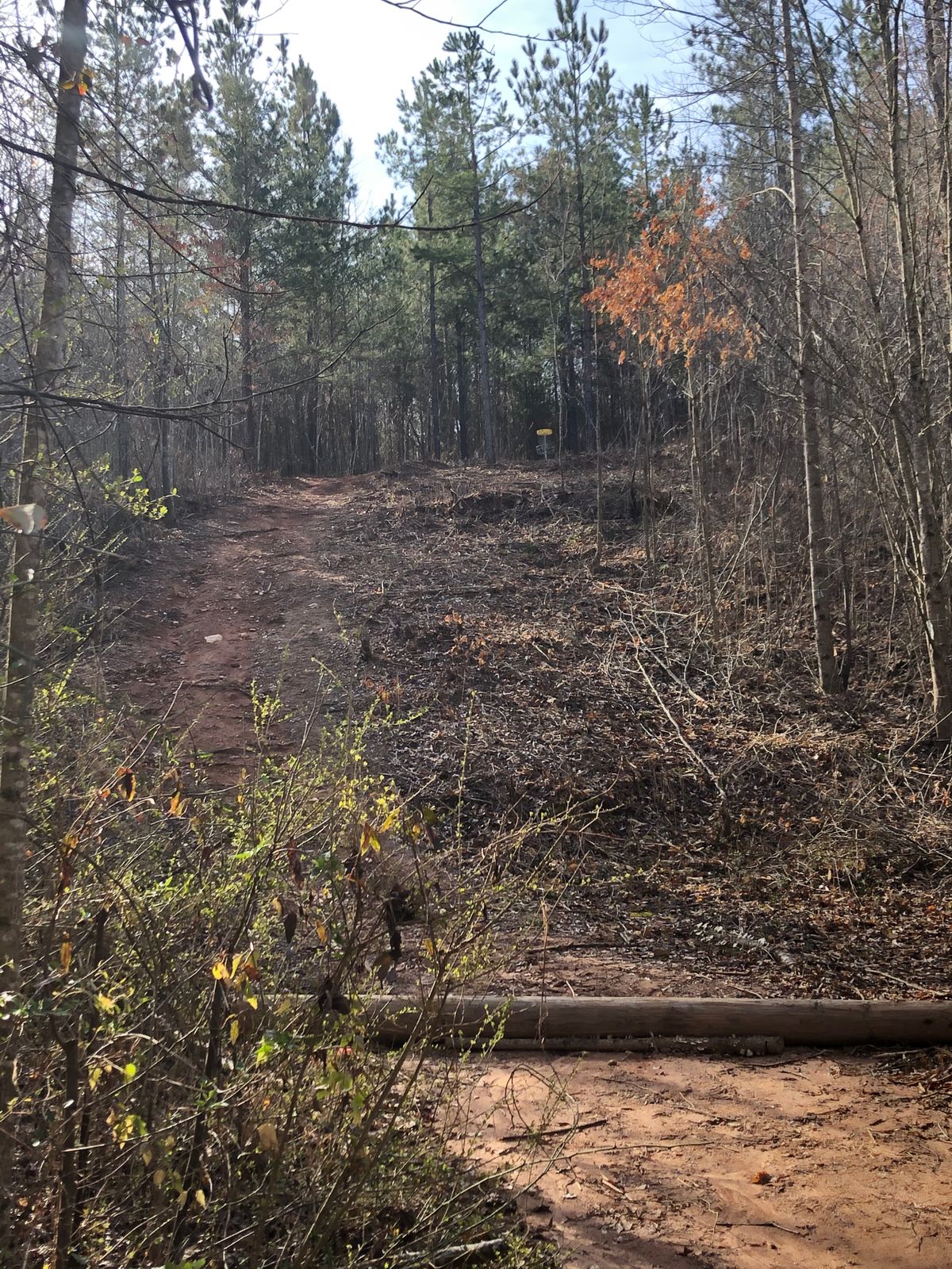 Hole #11 tee