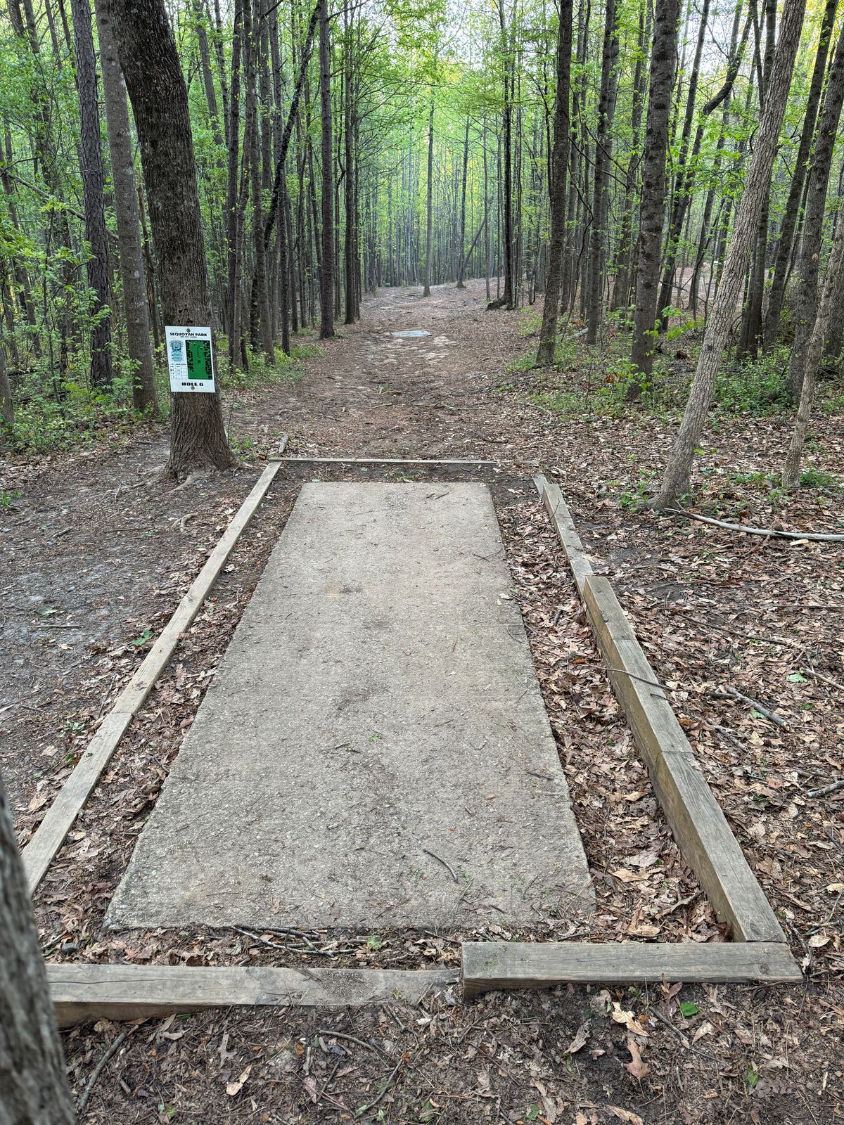 Hole 6