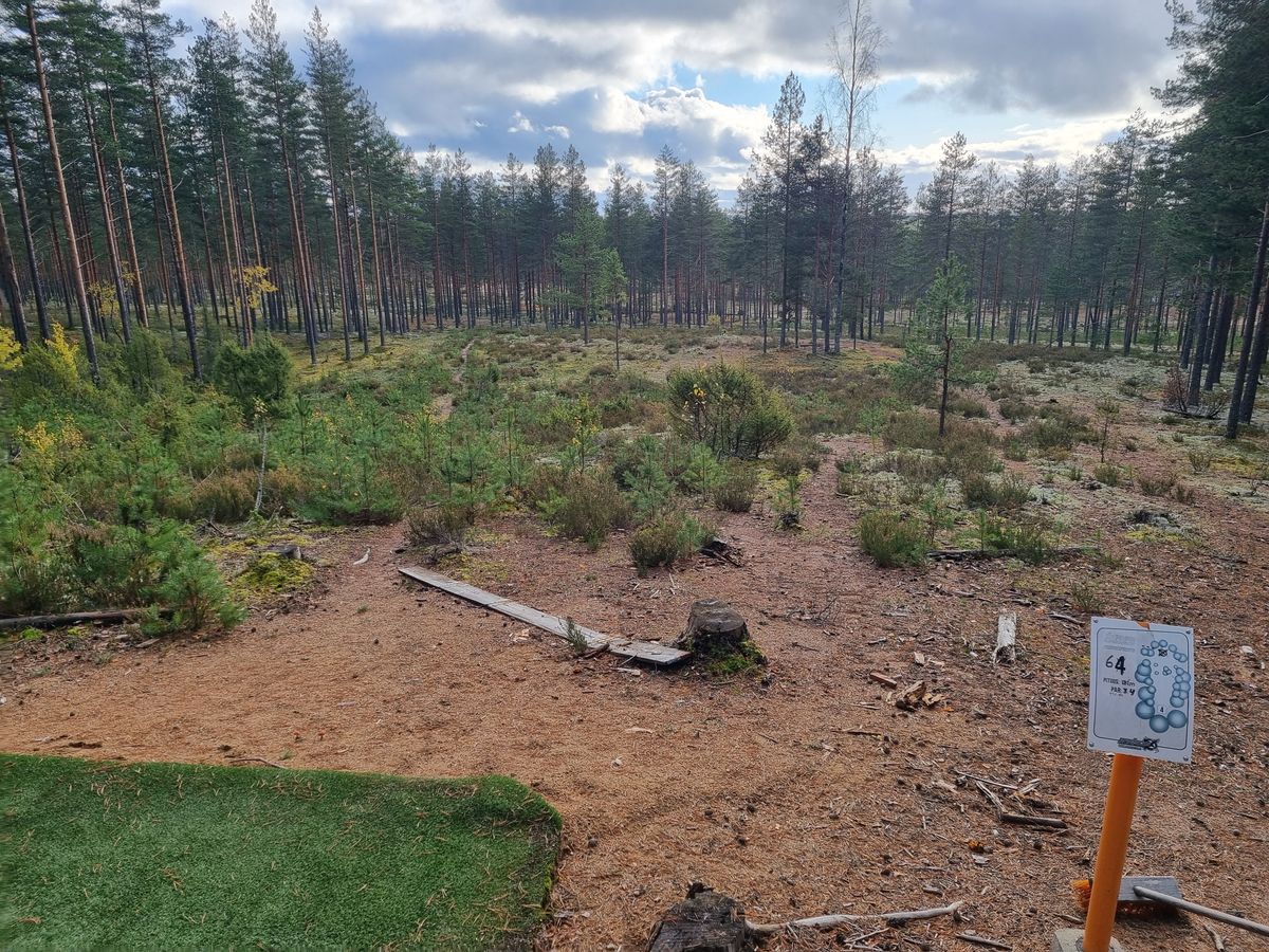 Väylä 4, alas ja aukion yli metsänreunaan