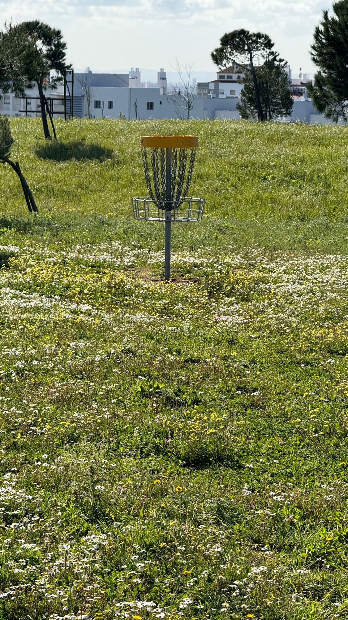 Hole 1 green