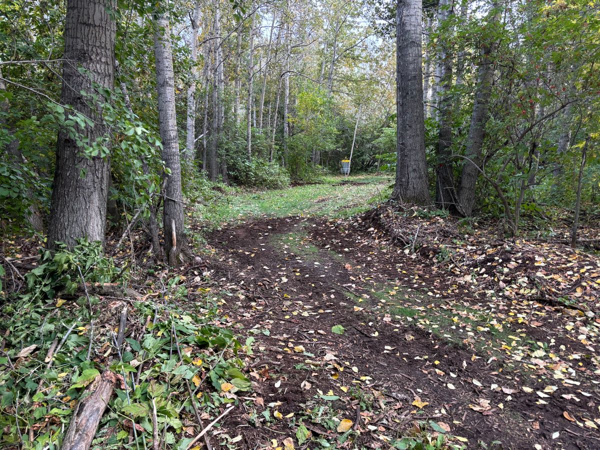 Hole 13 Approach