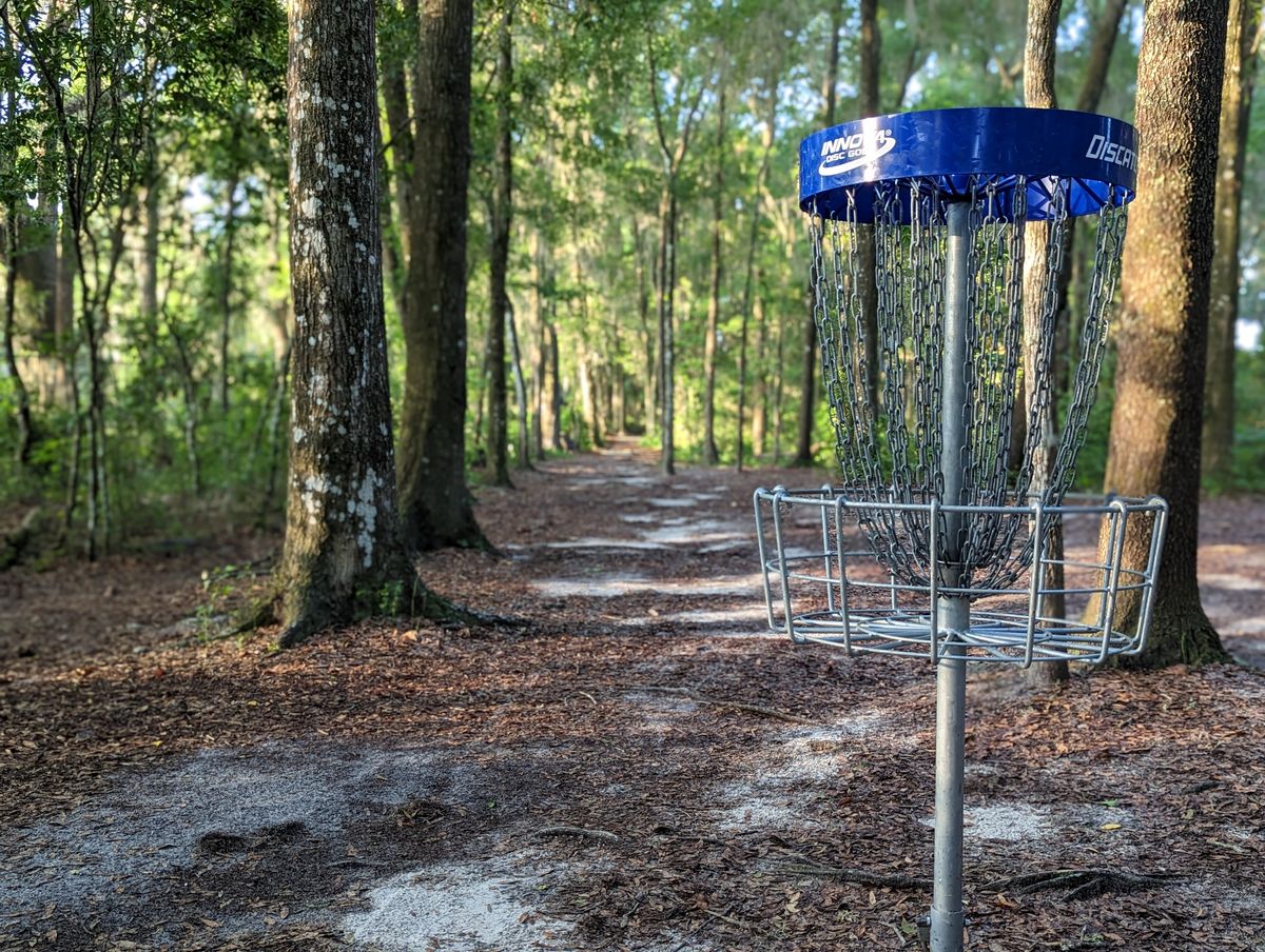 Short basket position looking back up the tight fairway.