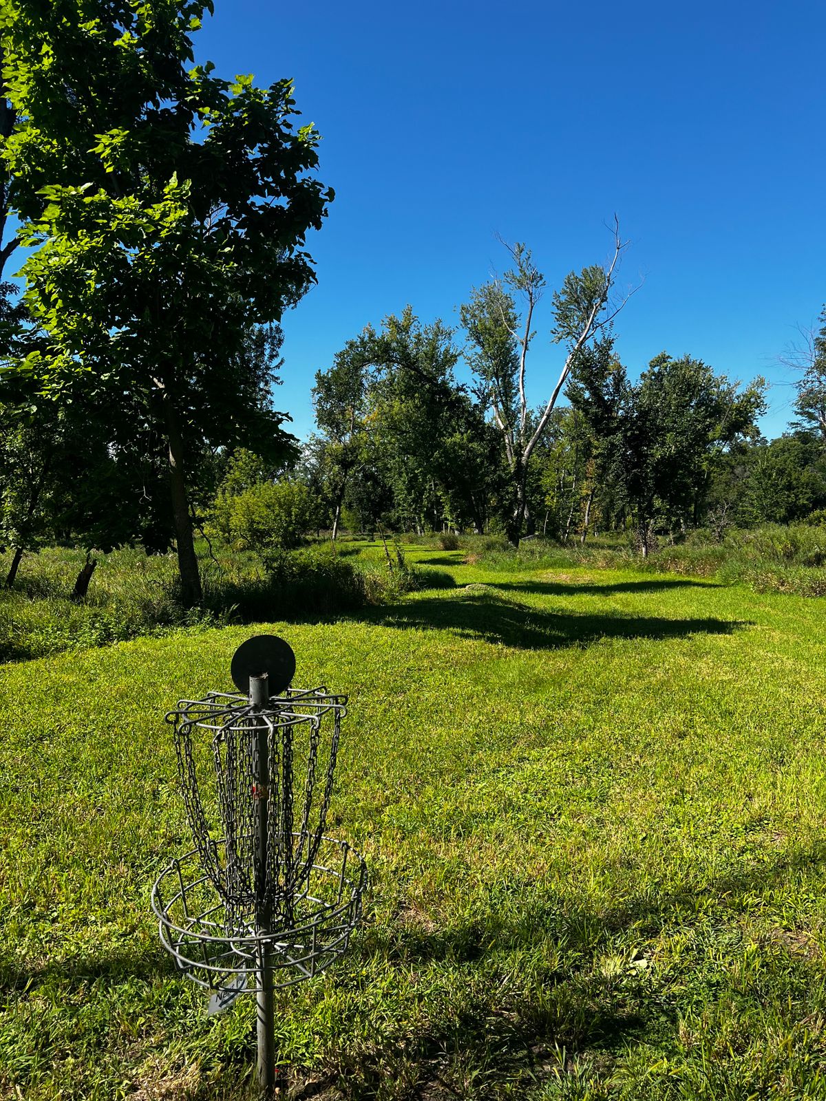 Hole L Basket