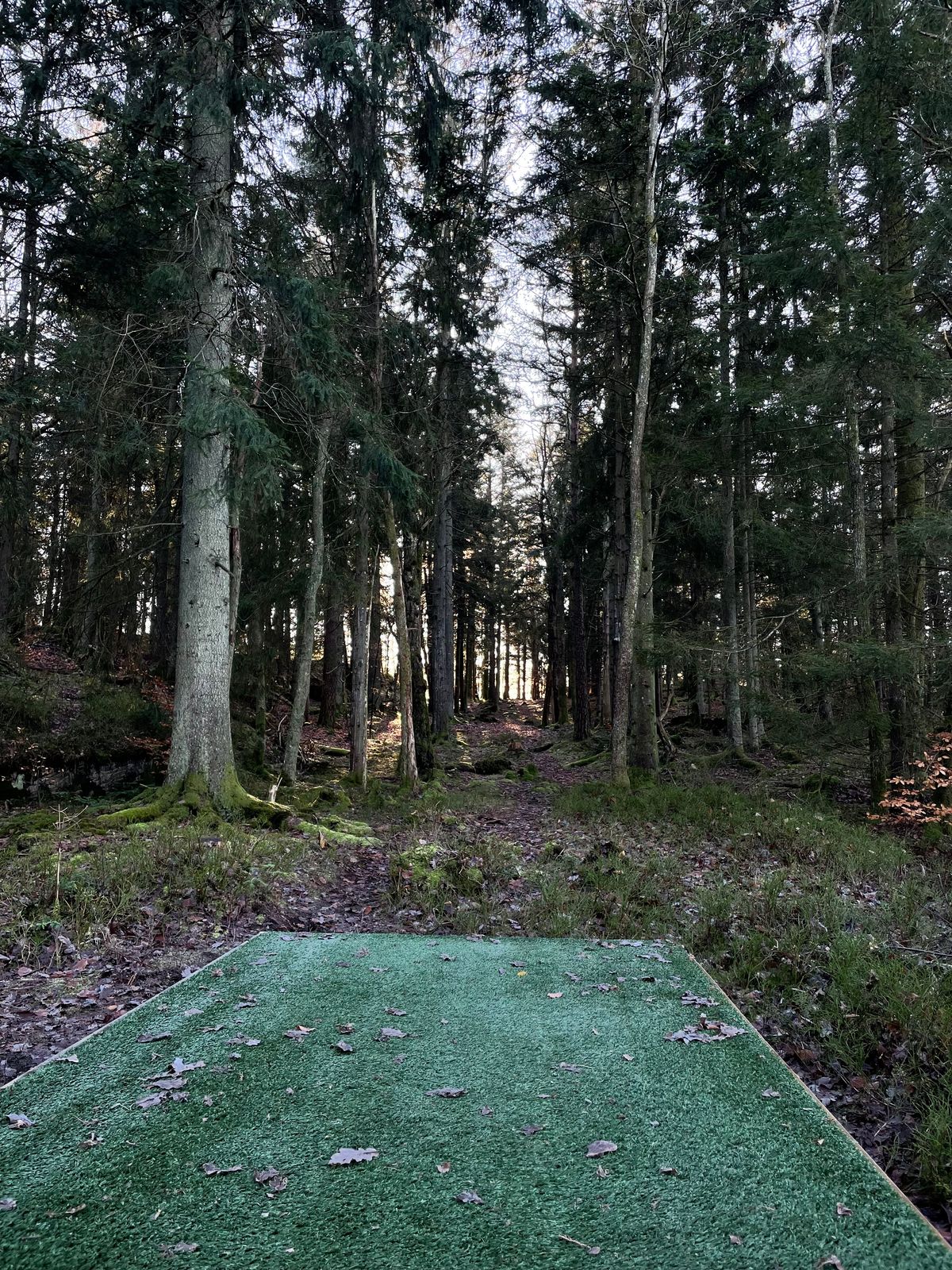 Hål 18 tee, vintersäsong