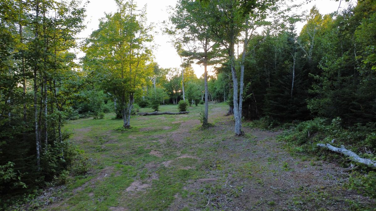 Hole 7 - main fairway.