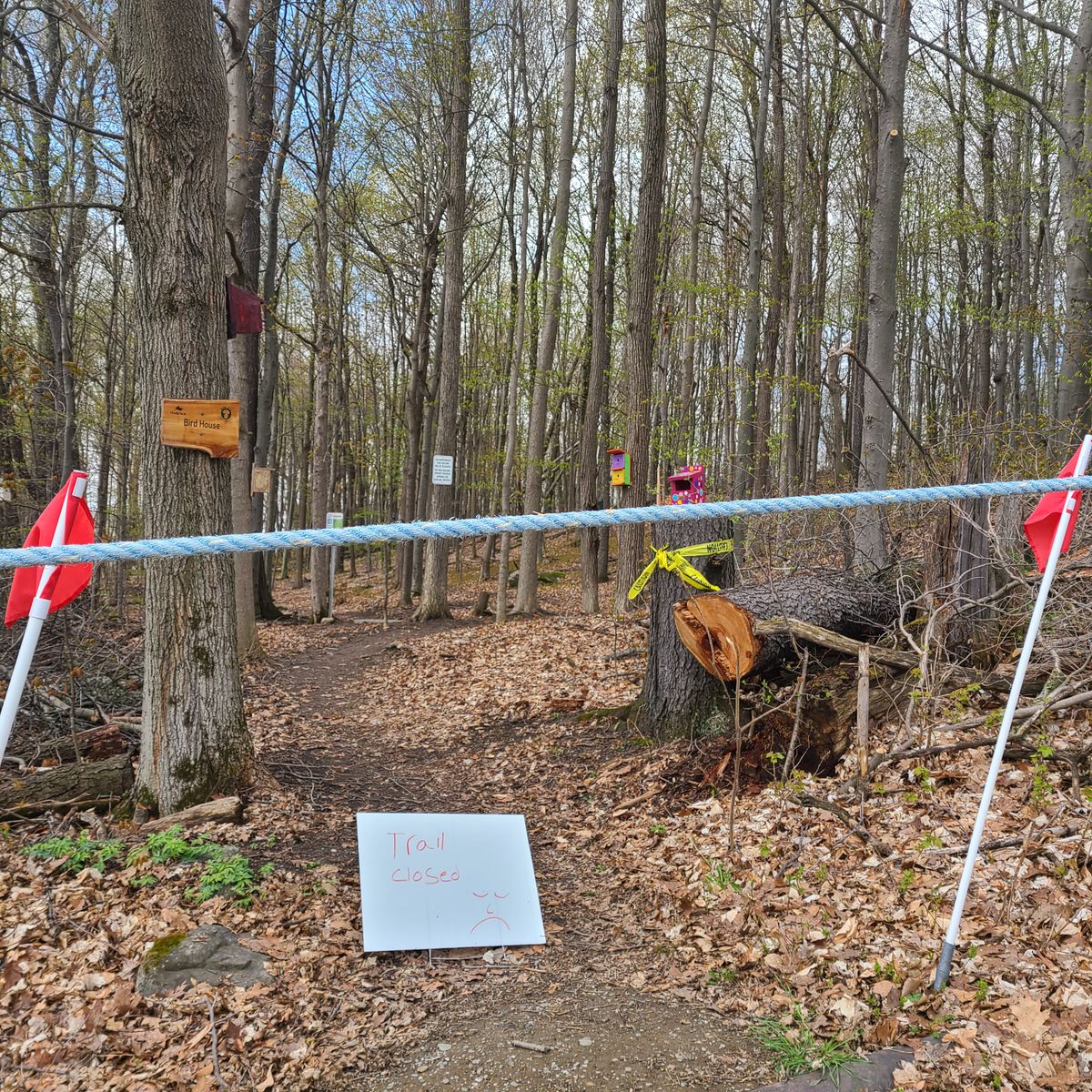 Trail for Hole 2 thru Hole 8