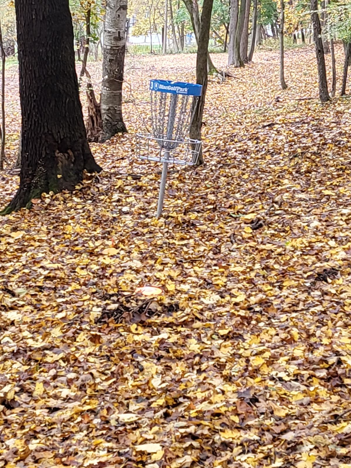 Hole 4
