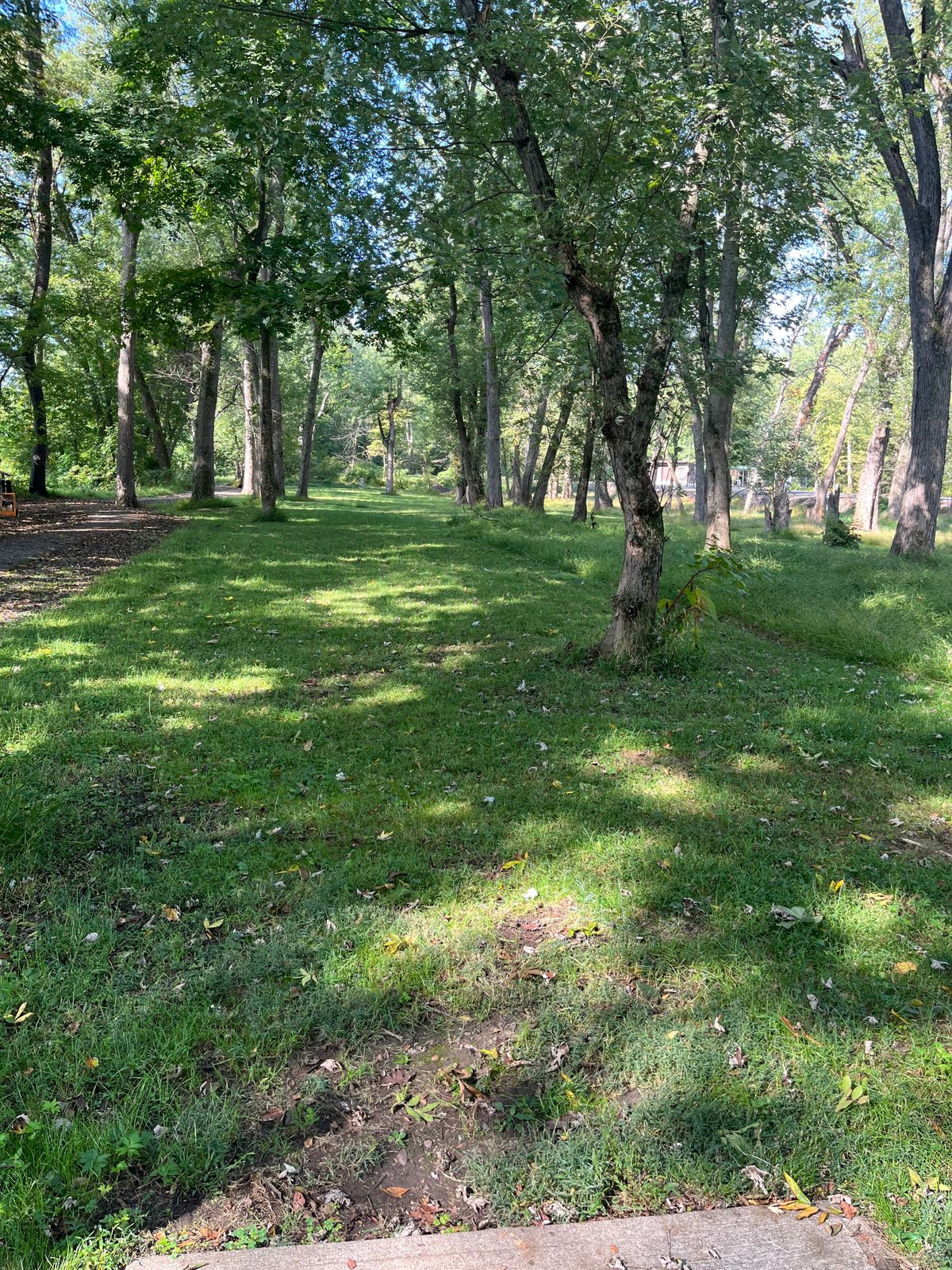 Hole 6