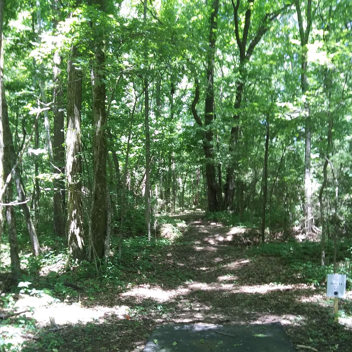 Another tight fairway as seen from hole 14's Tee pad.