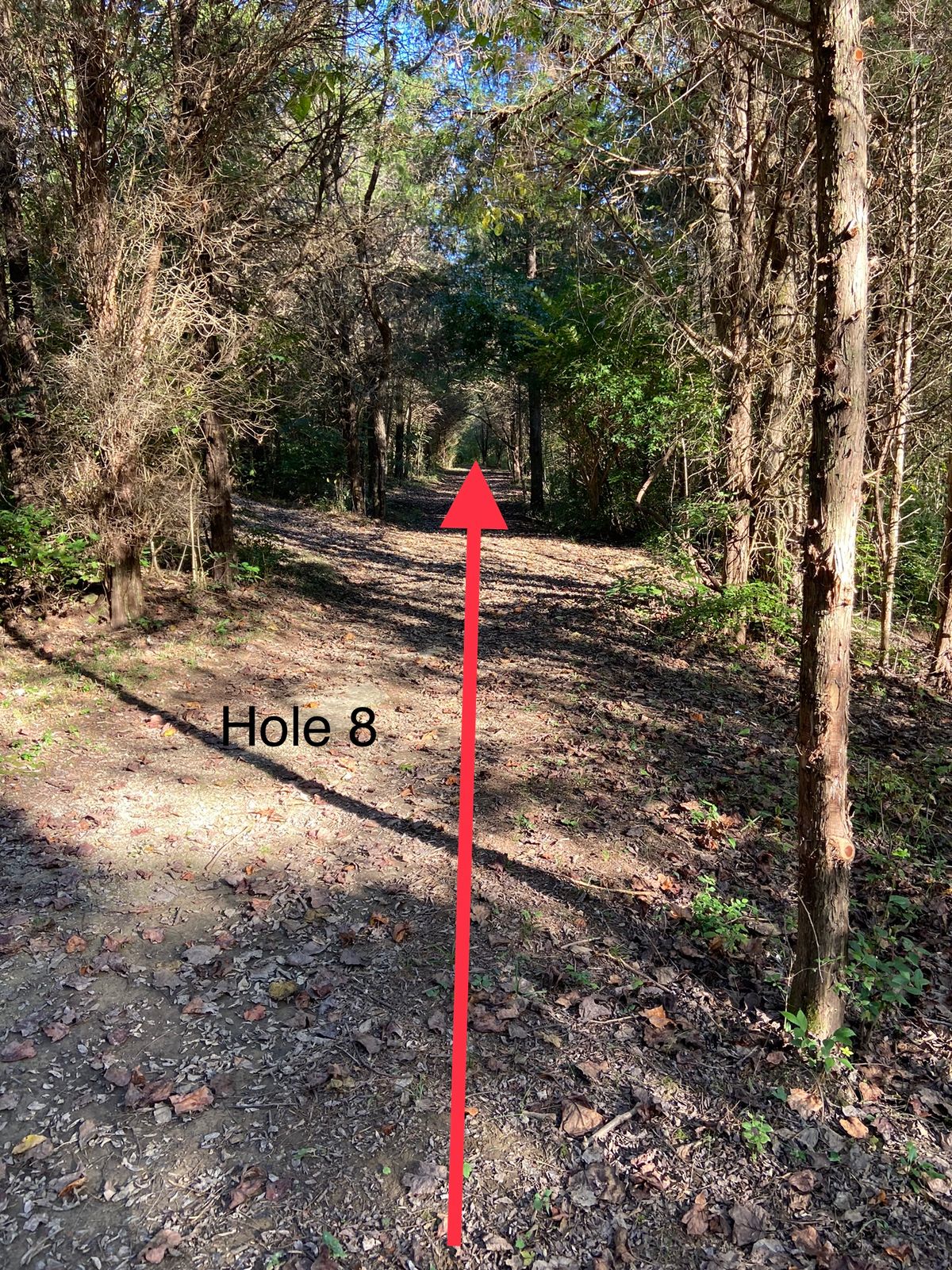 Hole 8