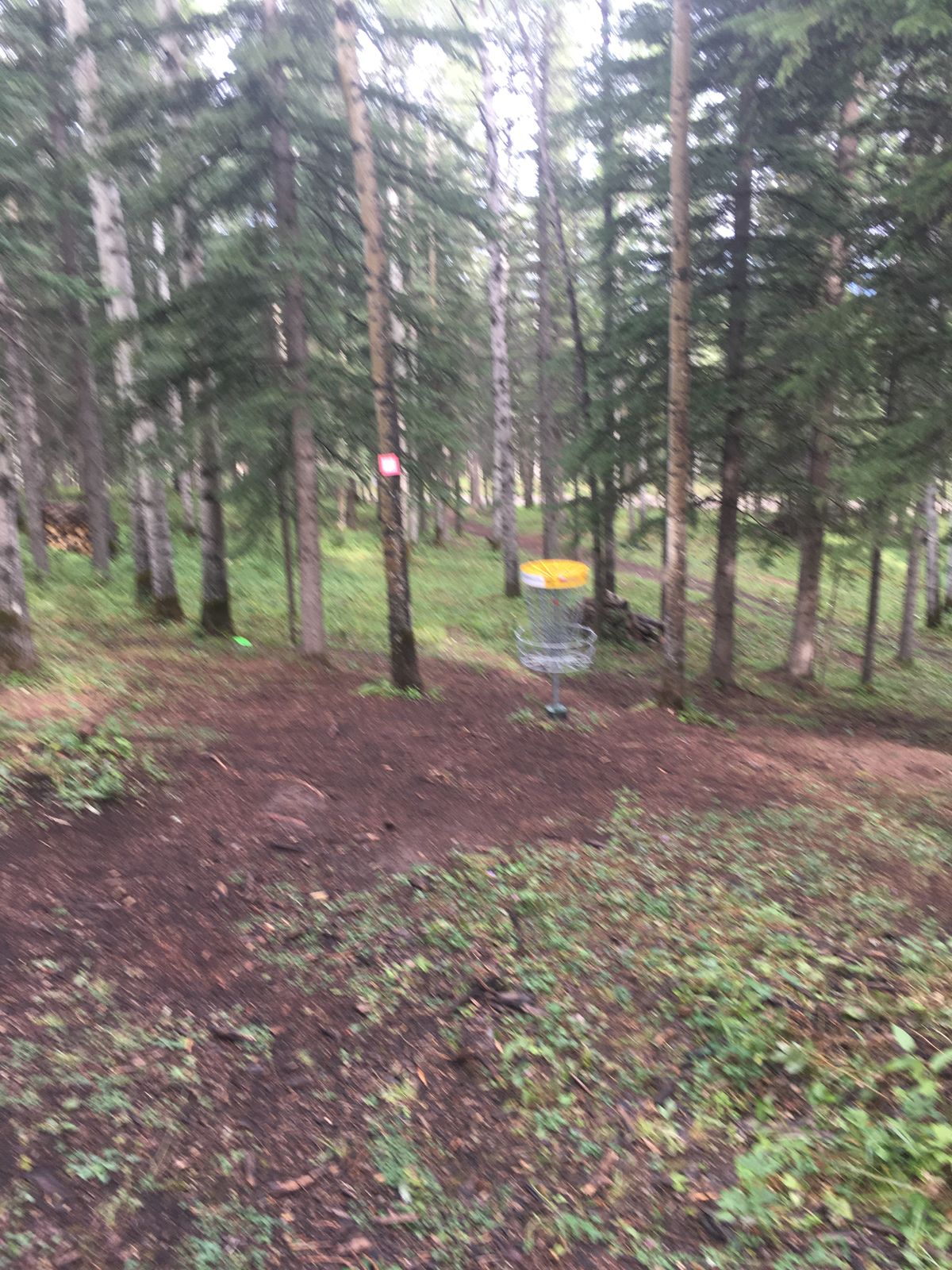 Putting on hole 12.🌲🇨🇦🌲🇨🇦