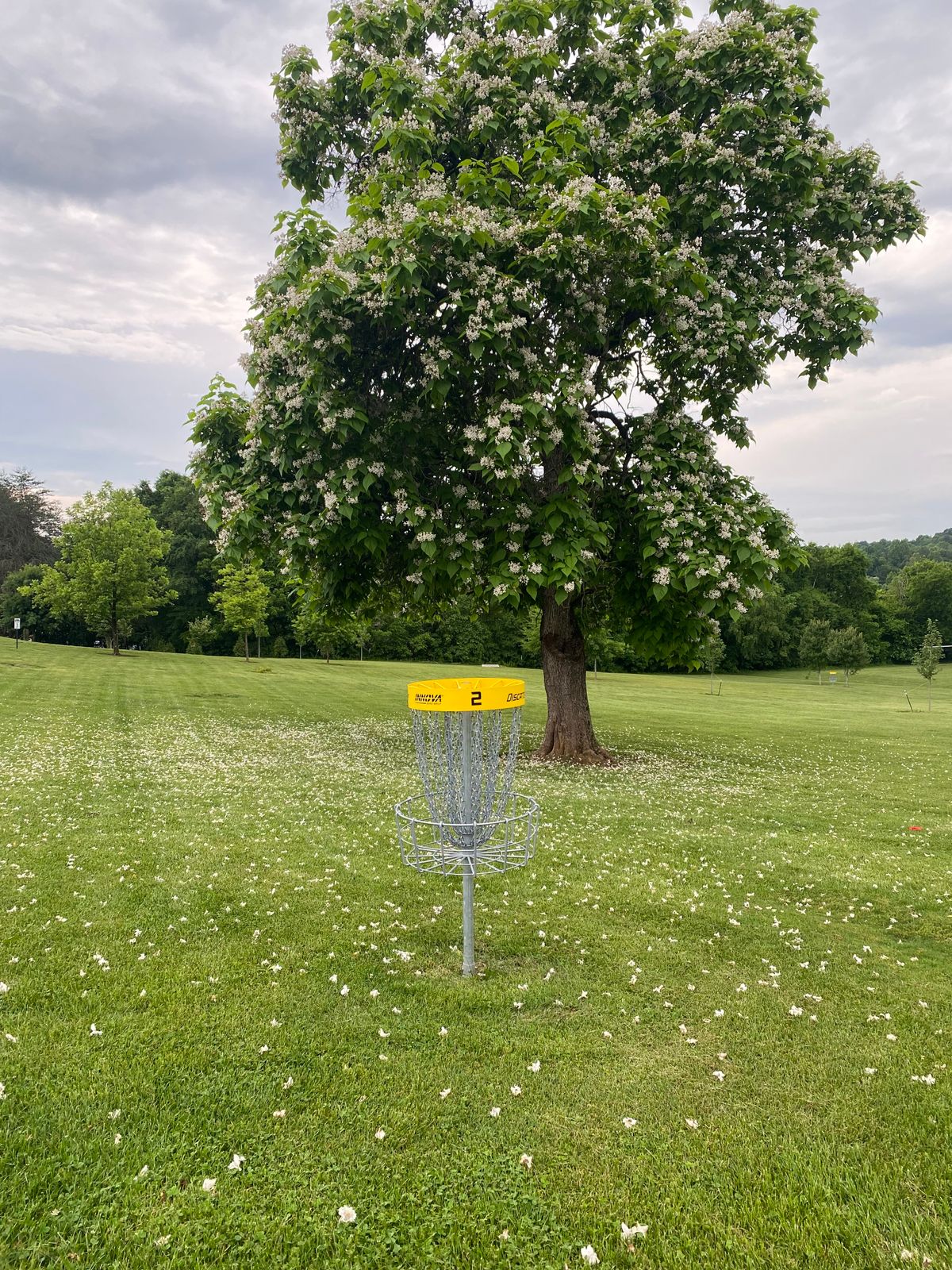Hole #2 Behind Basket