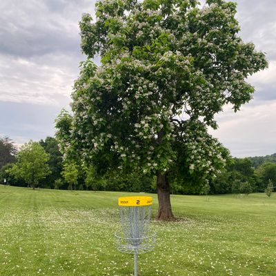 Hole #2 Behind Basket