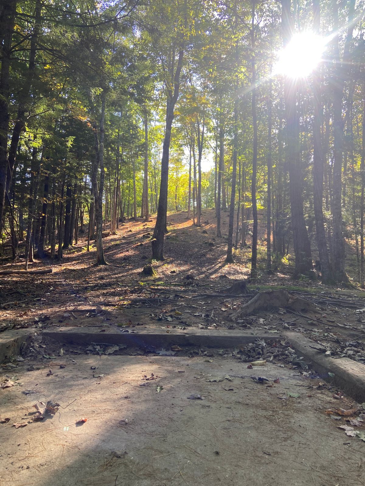 Hole 3 tee