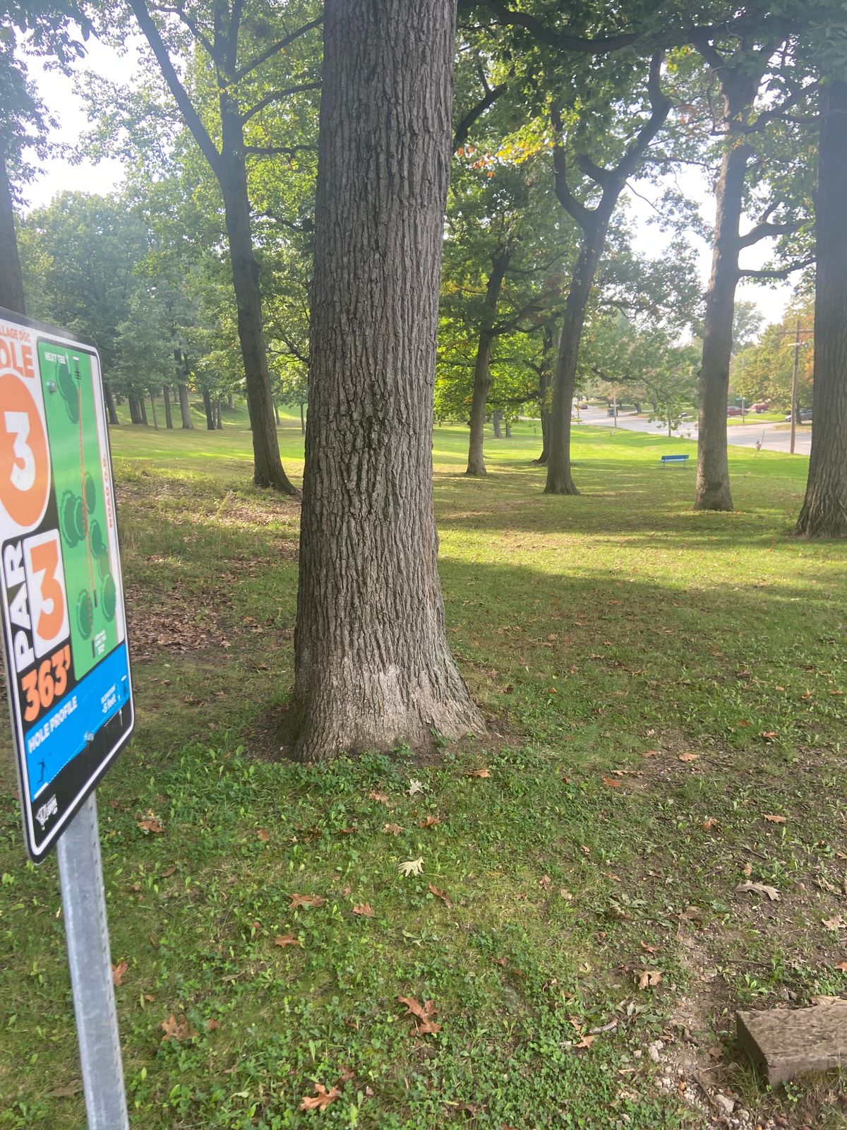 Tee box on 3