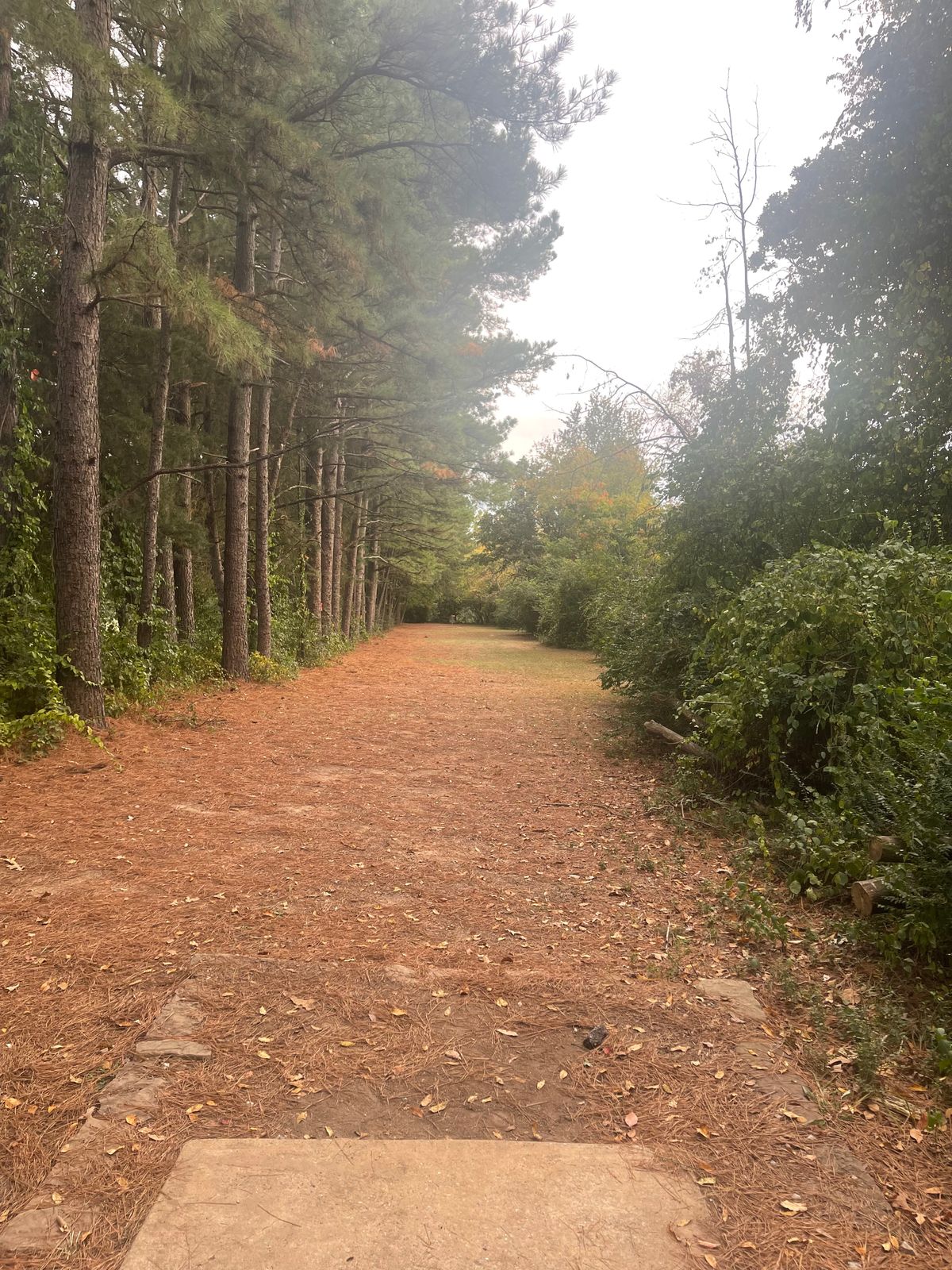 The picturesque fairway of hole 7