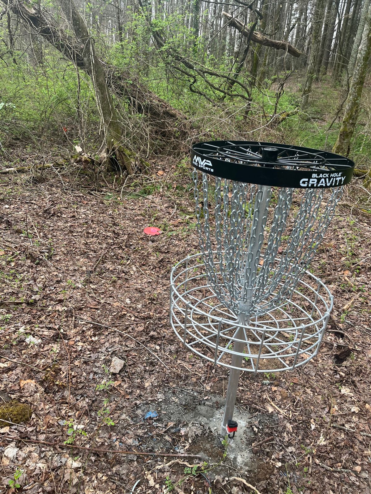 Short wooded hole 7