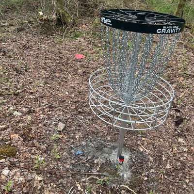 Short wooded hole 7