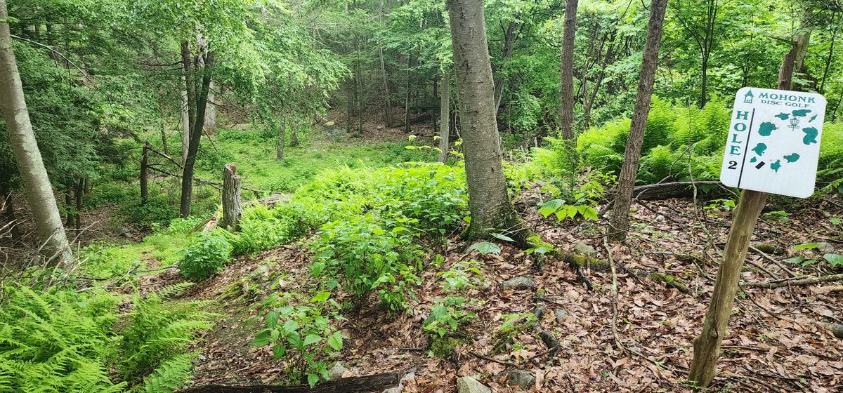 Hole 2