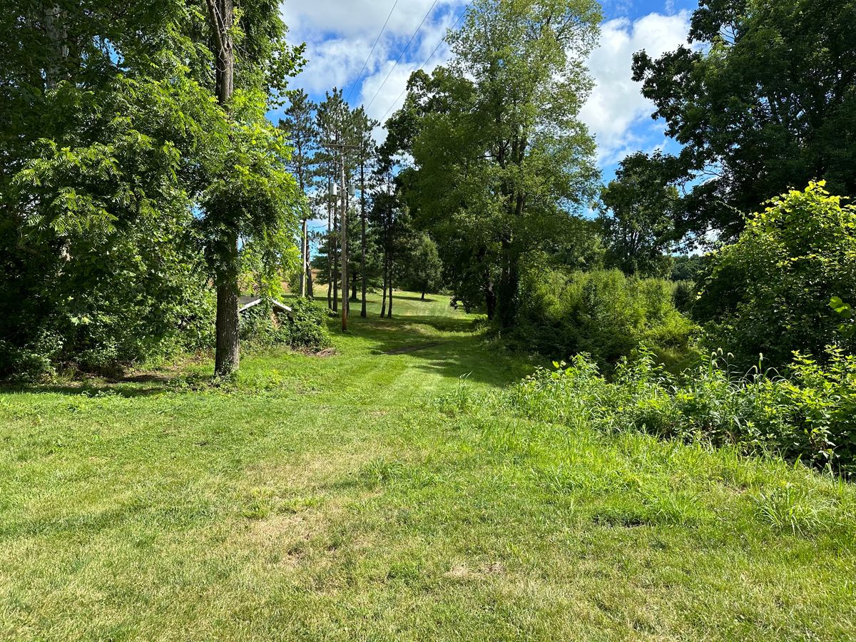 Hole 2 white tee