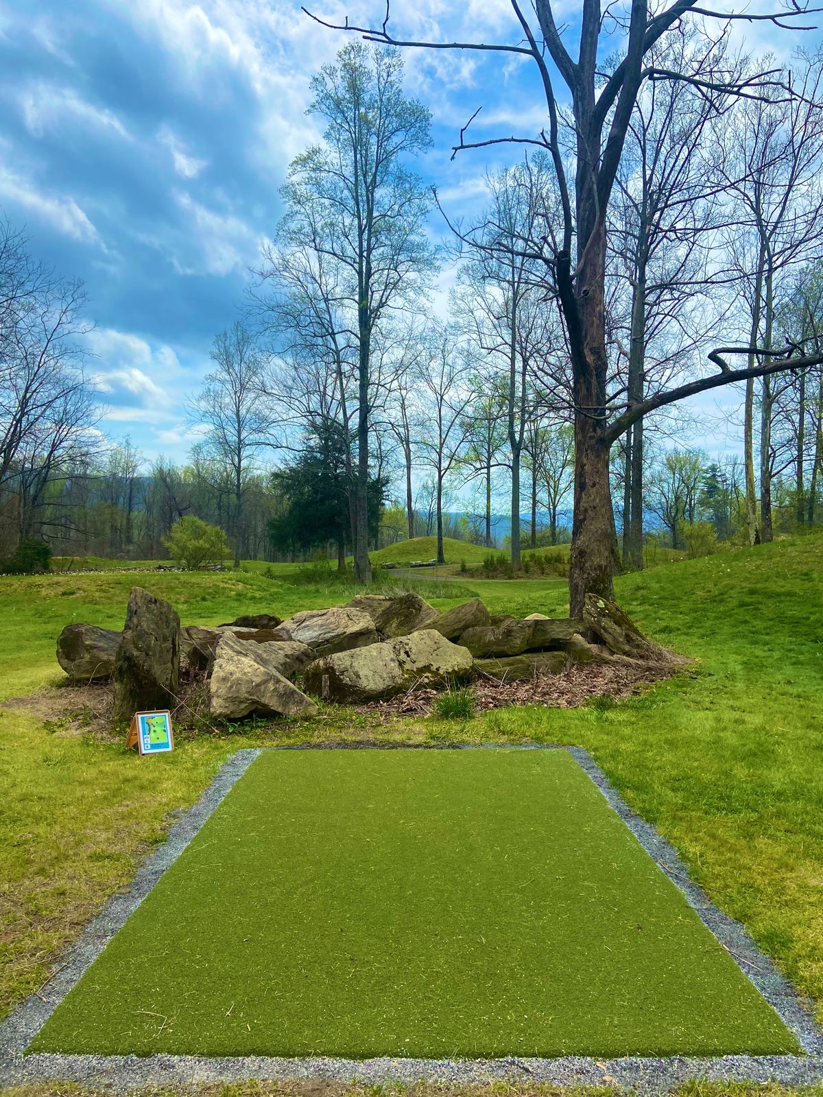 Tee of hole 6