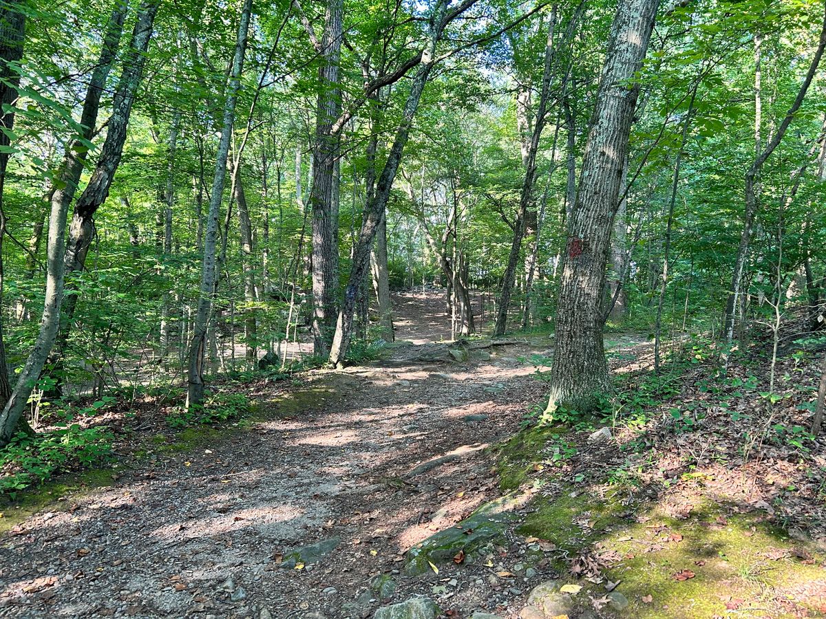 Hole 10