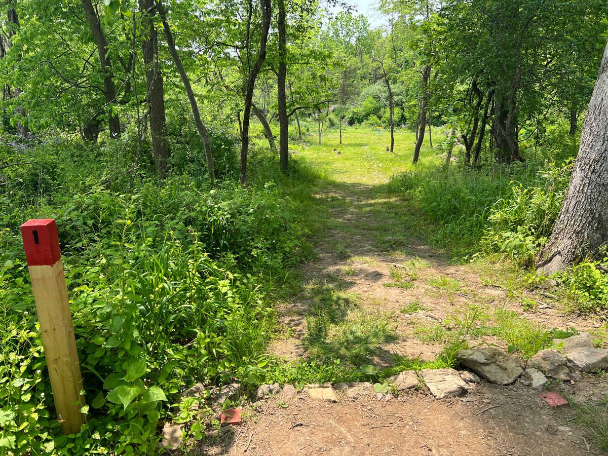 Hole #1