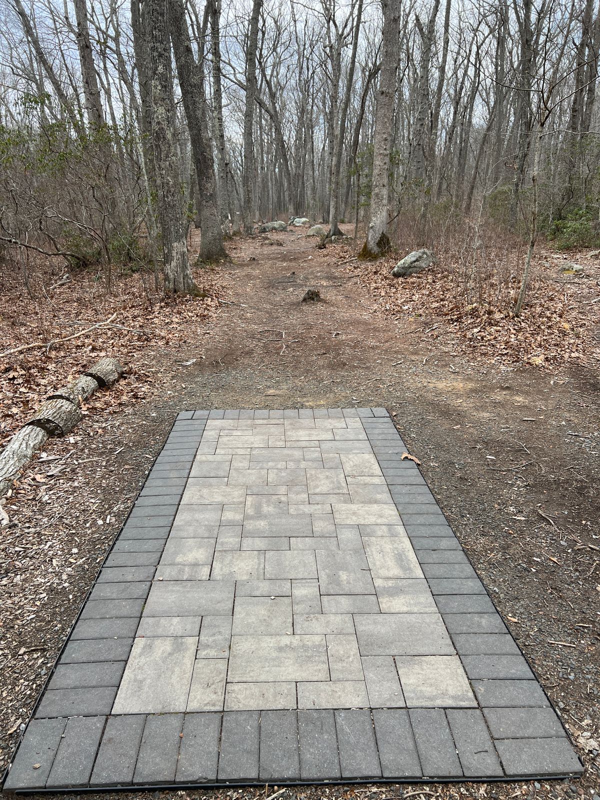 Tee Box #3