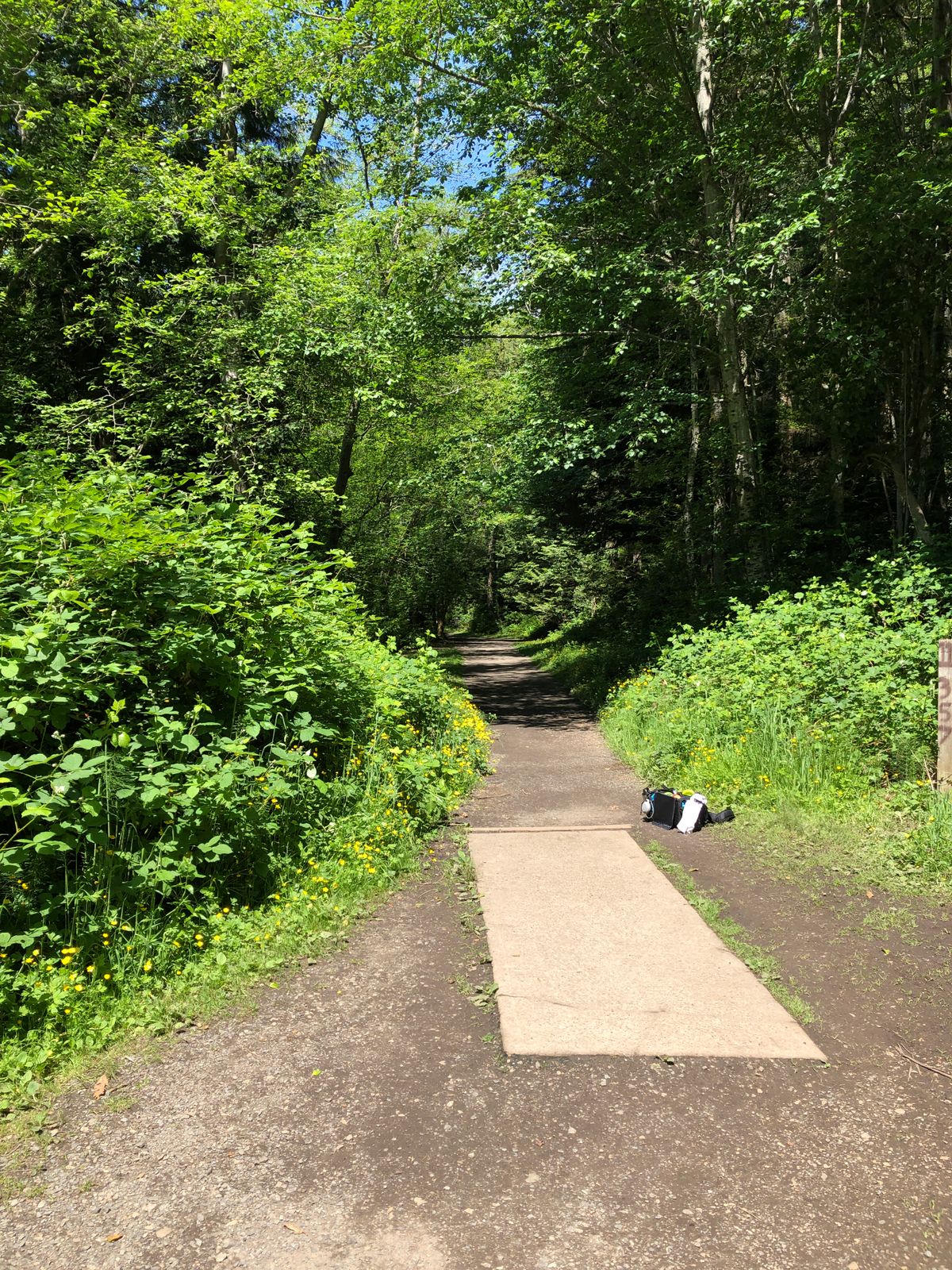 Hole 11. May 29, 2020. Very overgrown.