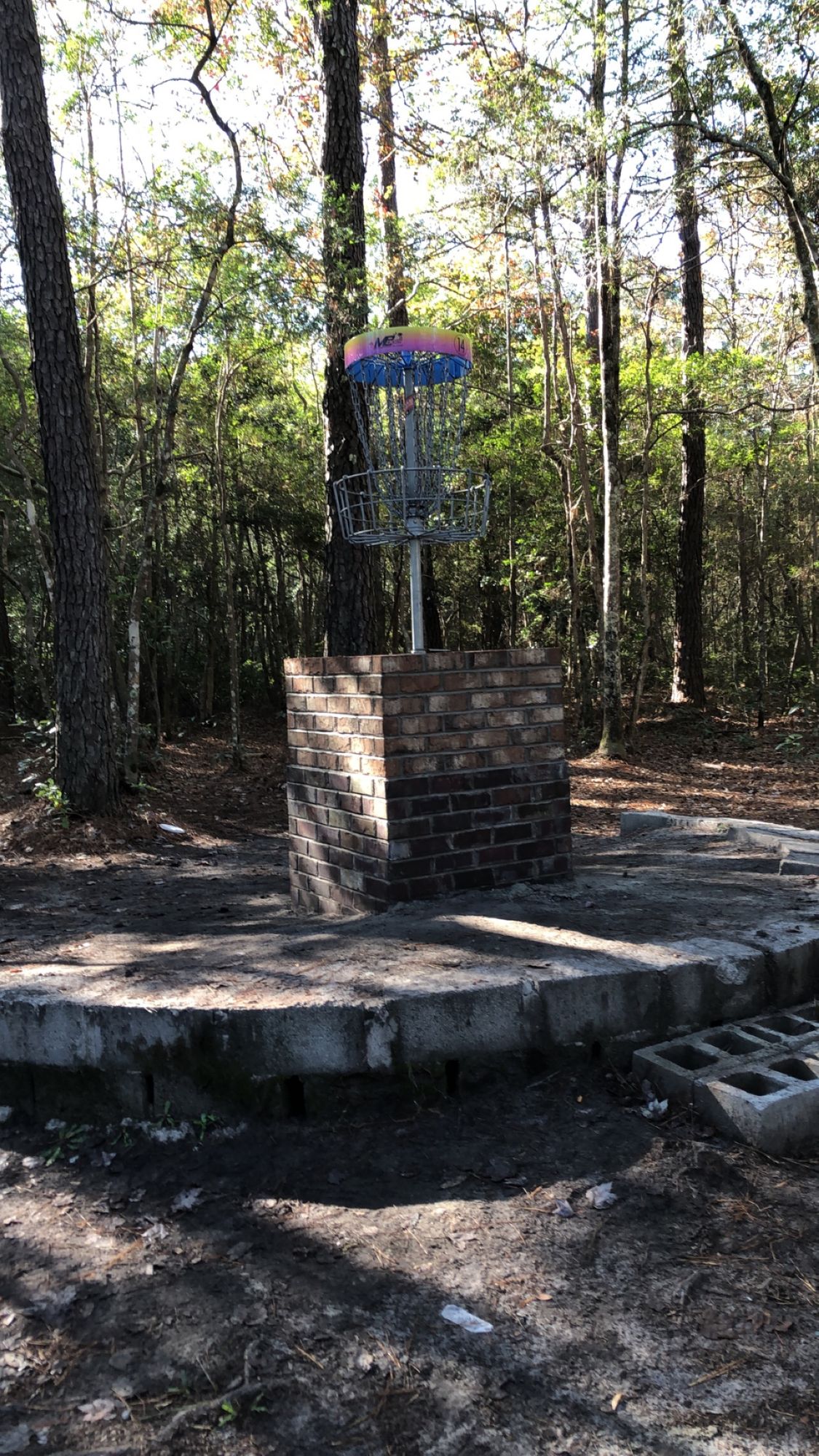 Hole 14 basket