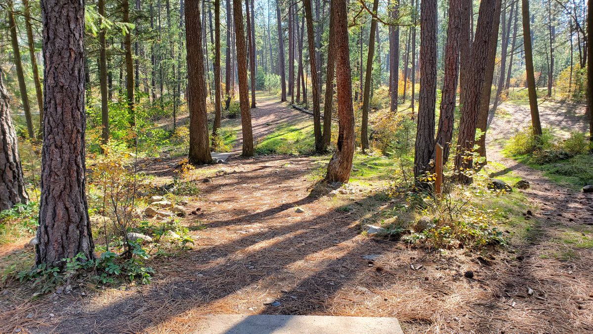 Tee pad hole 4