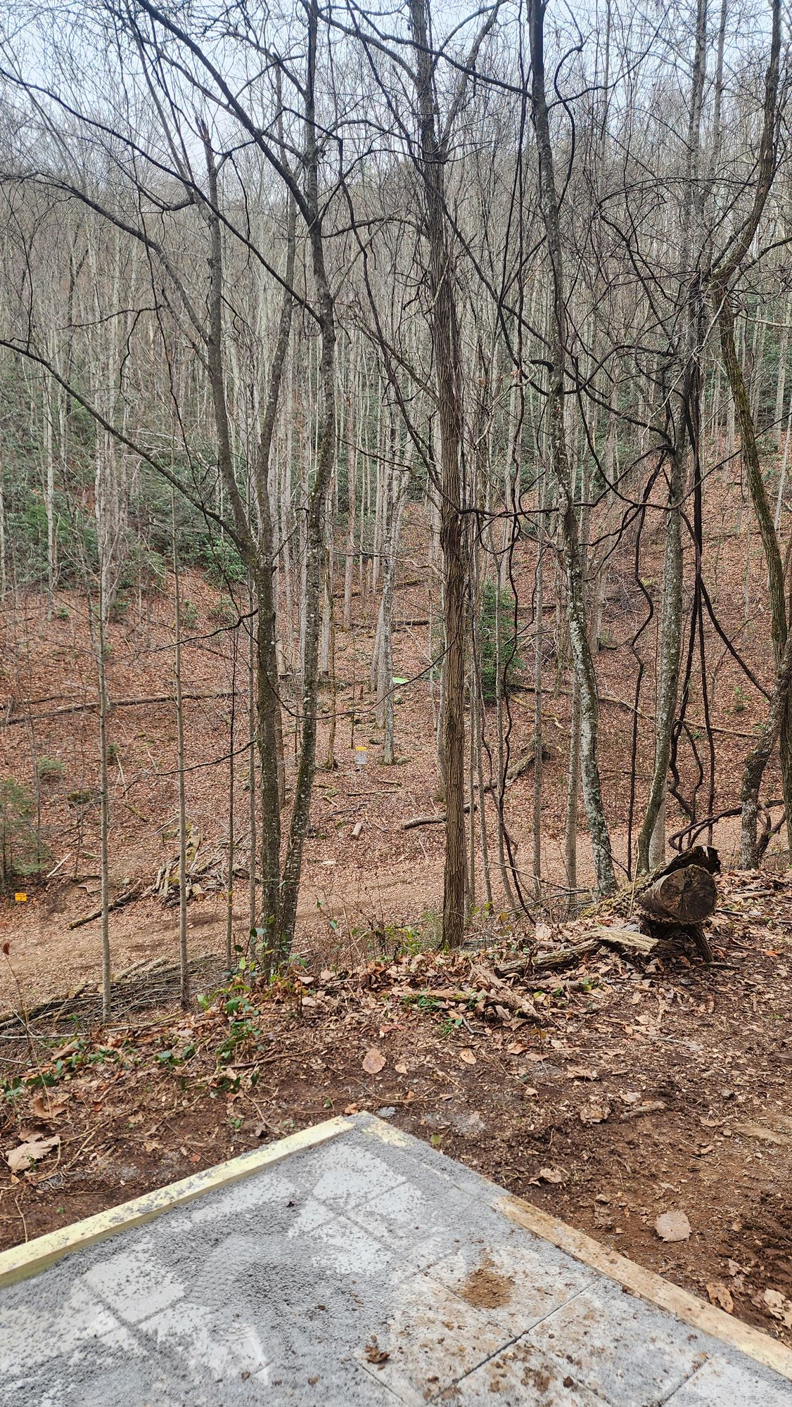 The view from Hole 7 short tee to basket in A position is daunting.