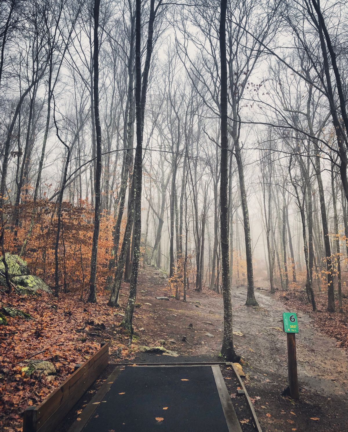 Hole 6. #chooseyourownadventure