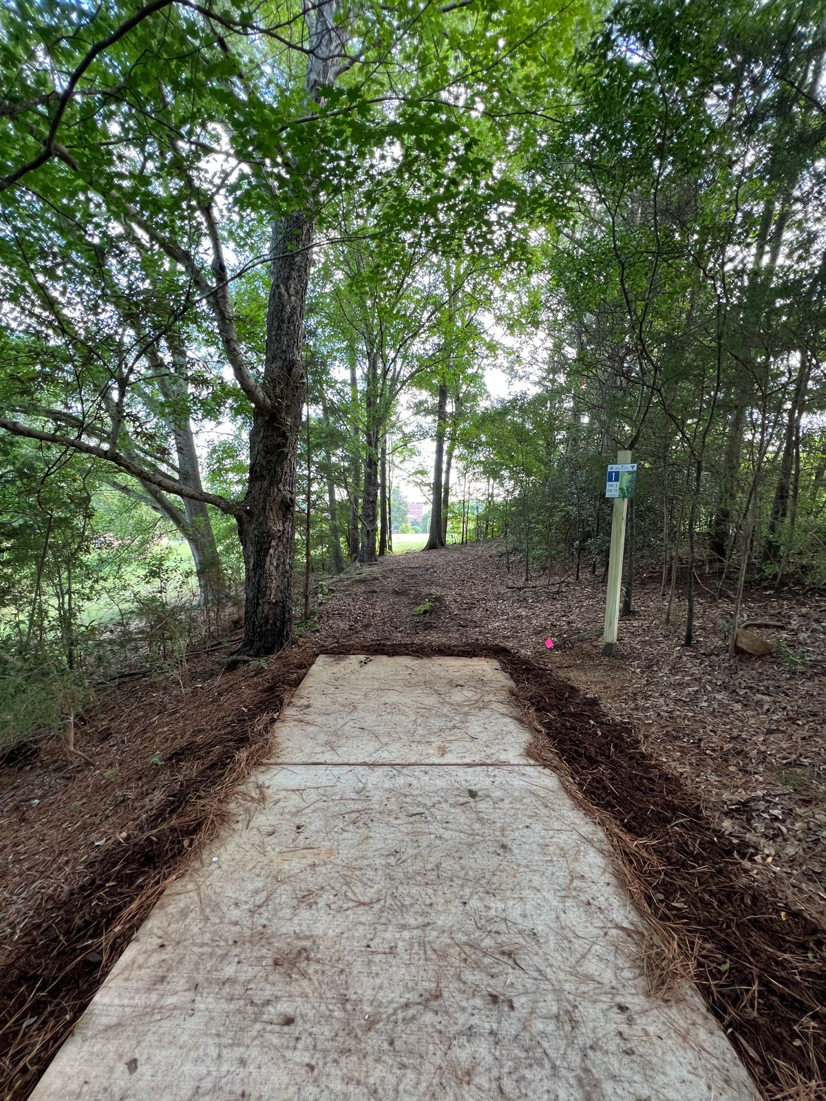 Hole 1: Behind Tee, No zoom