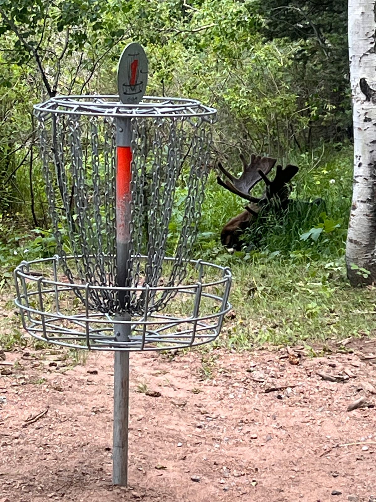 Most nature filled course I’ve been on