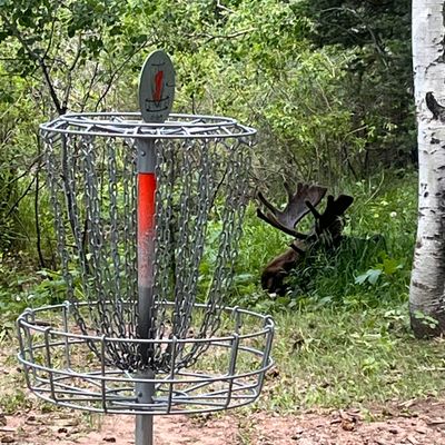 Most nature filled course I’ve been on