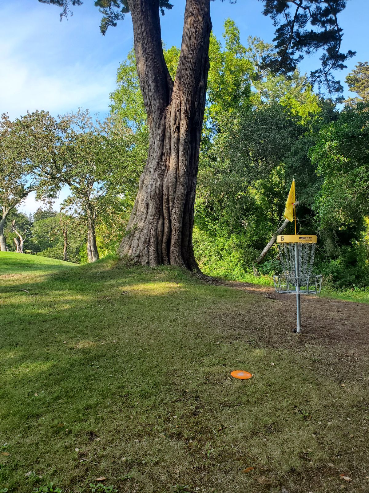 Hole 6 green.
Not shown is steep drop off 25ft right of target.