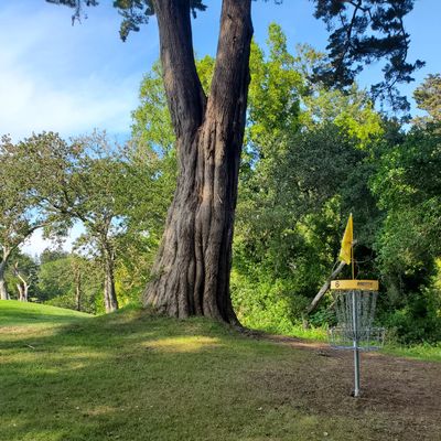 Hole 6 green.
Not shown is steep drop off 25ft right of target.