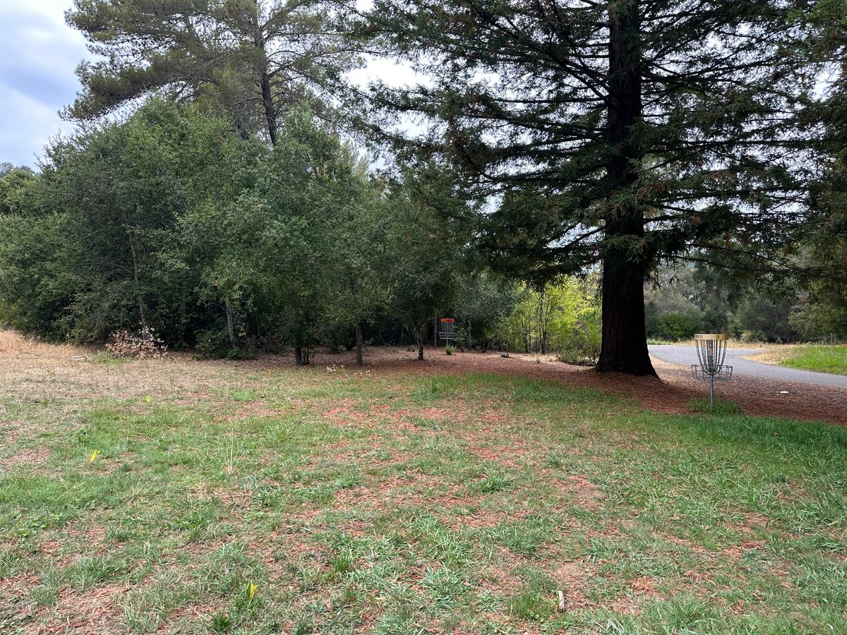 Hole 9/19