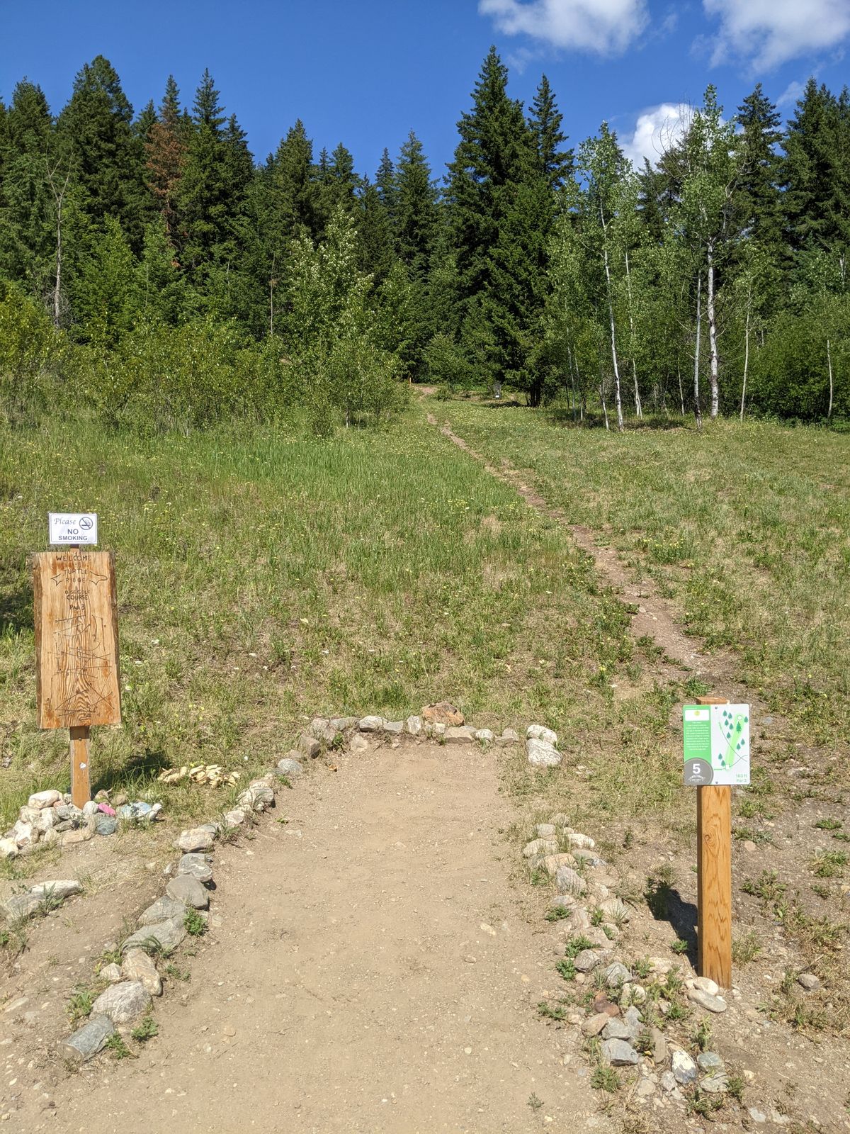 Tee box 5