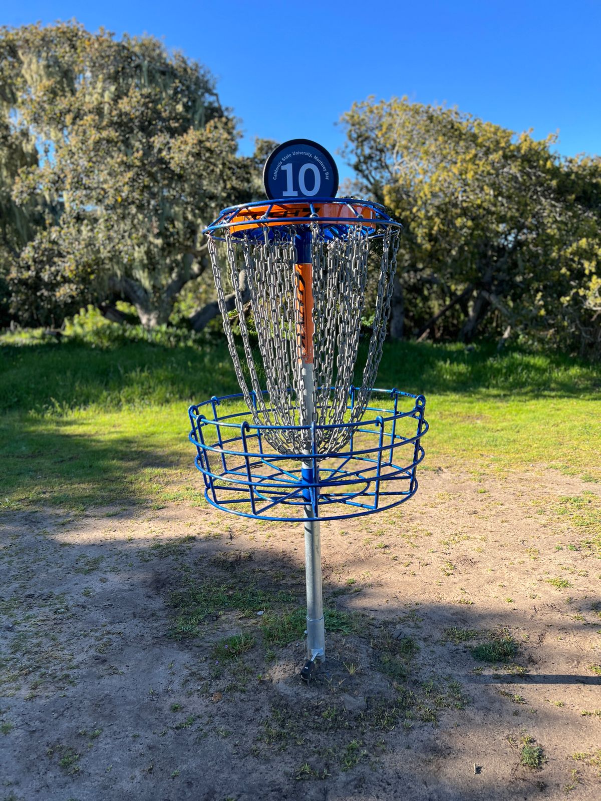 Hole 10's new basket.