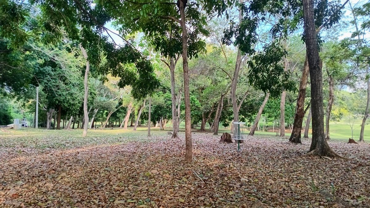 Parque Omar DG Course
Hole 3 Target