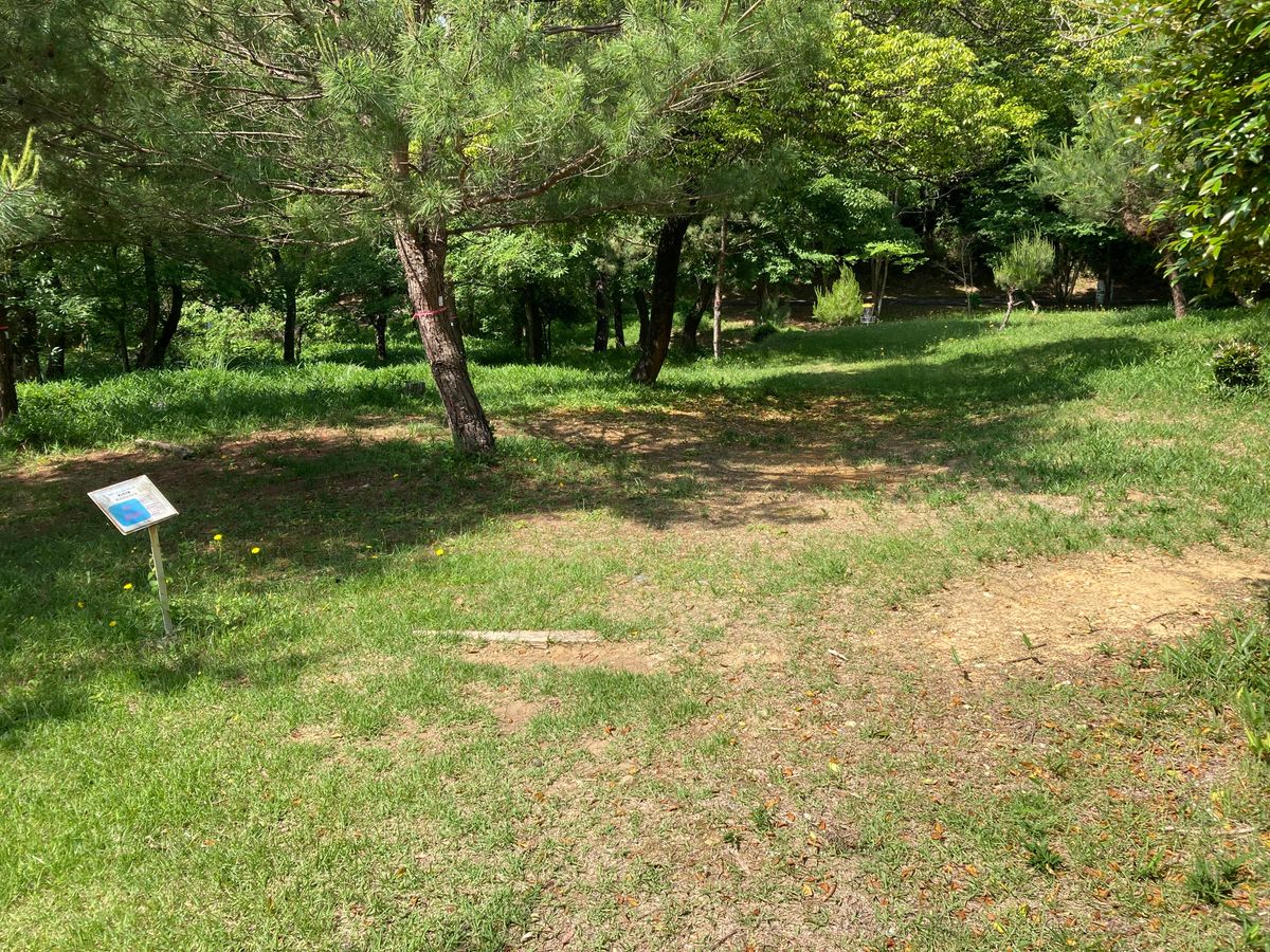 Hole 6 tee for 9 hole course, basket is in gully ahead