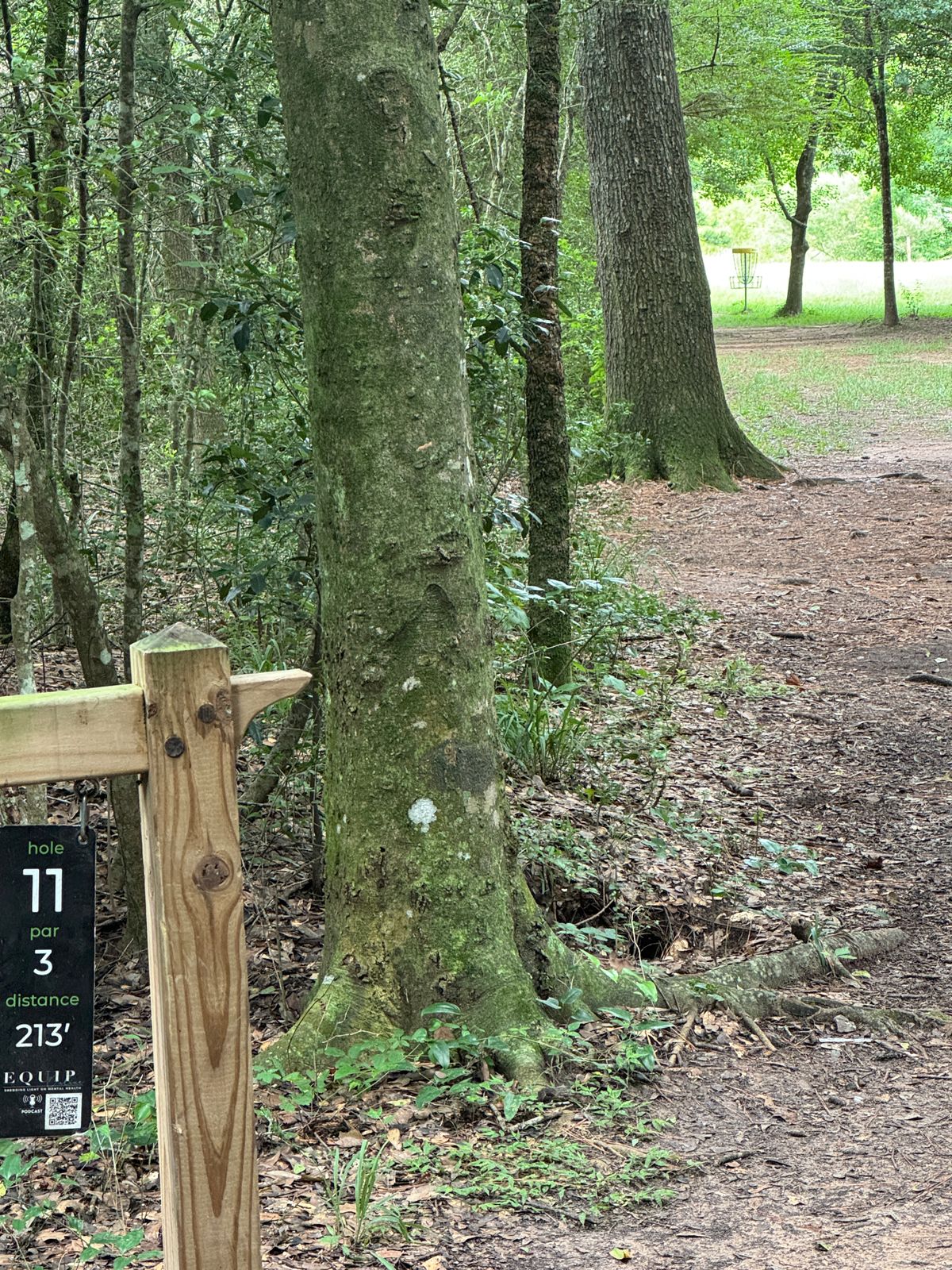 Beautiful and straight hole #11