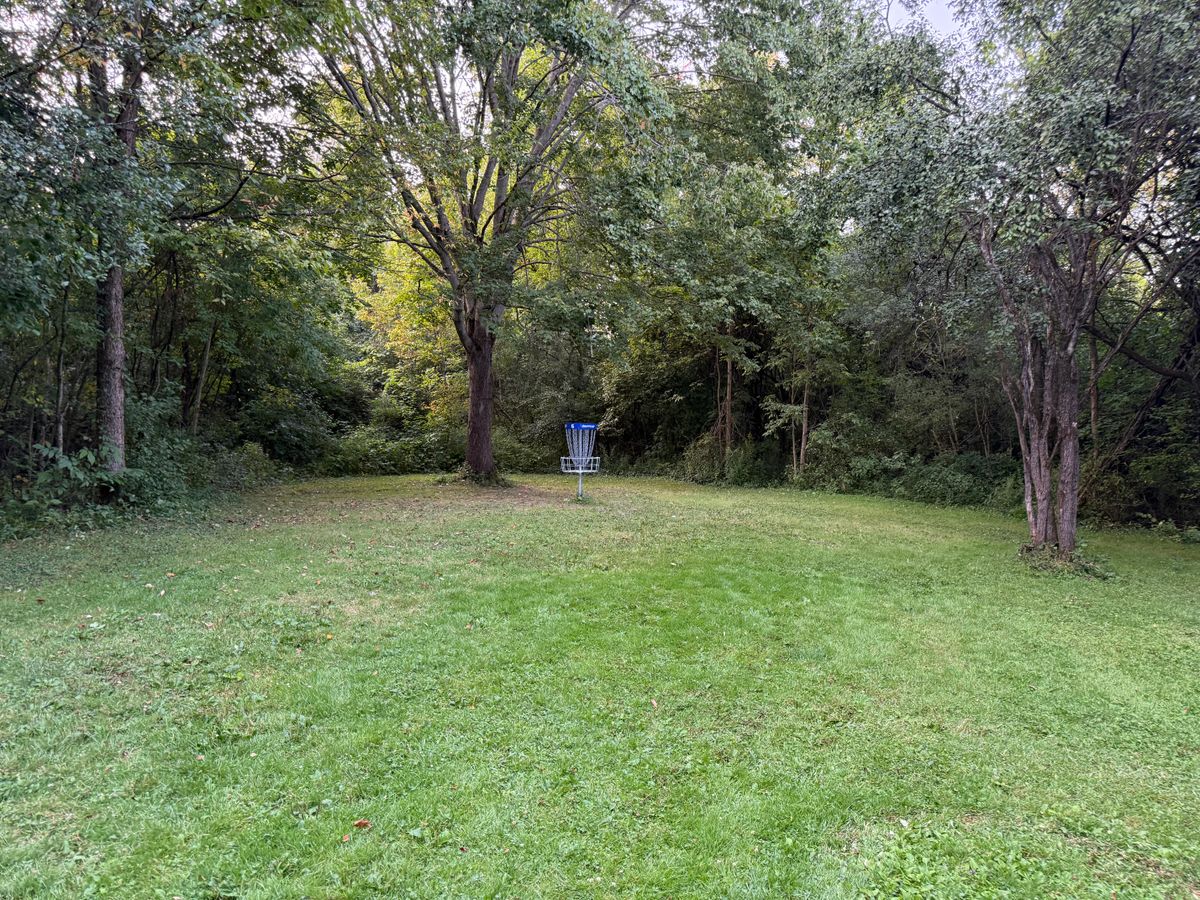 Hole 6 Green