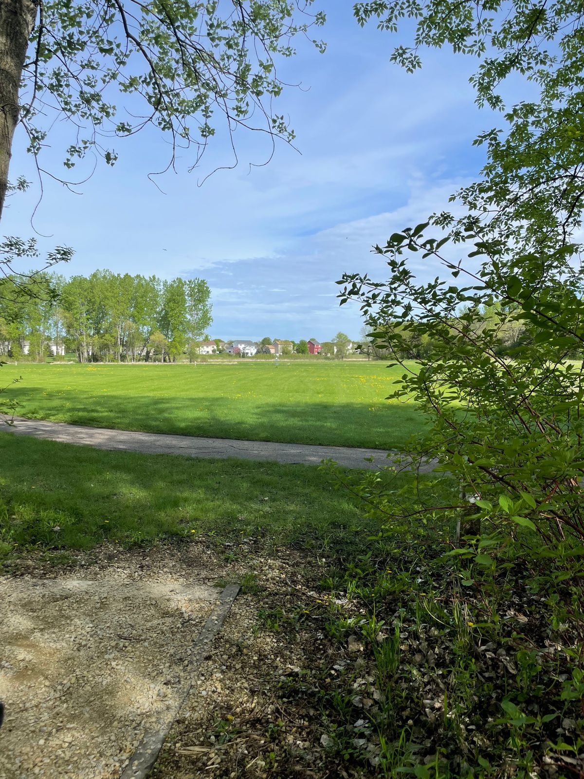 Hole 2 tee