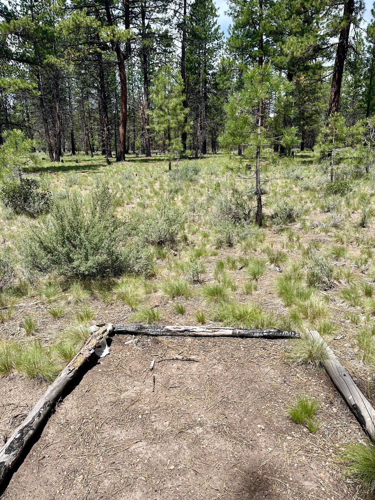 Tee pad 1 for the Fallen winter layout