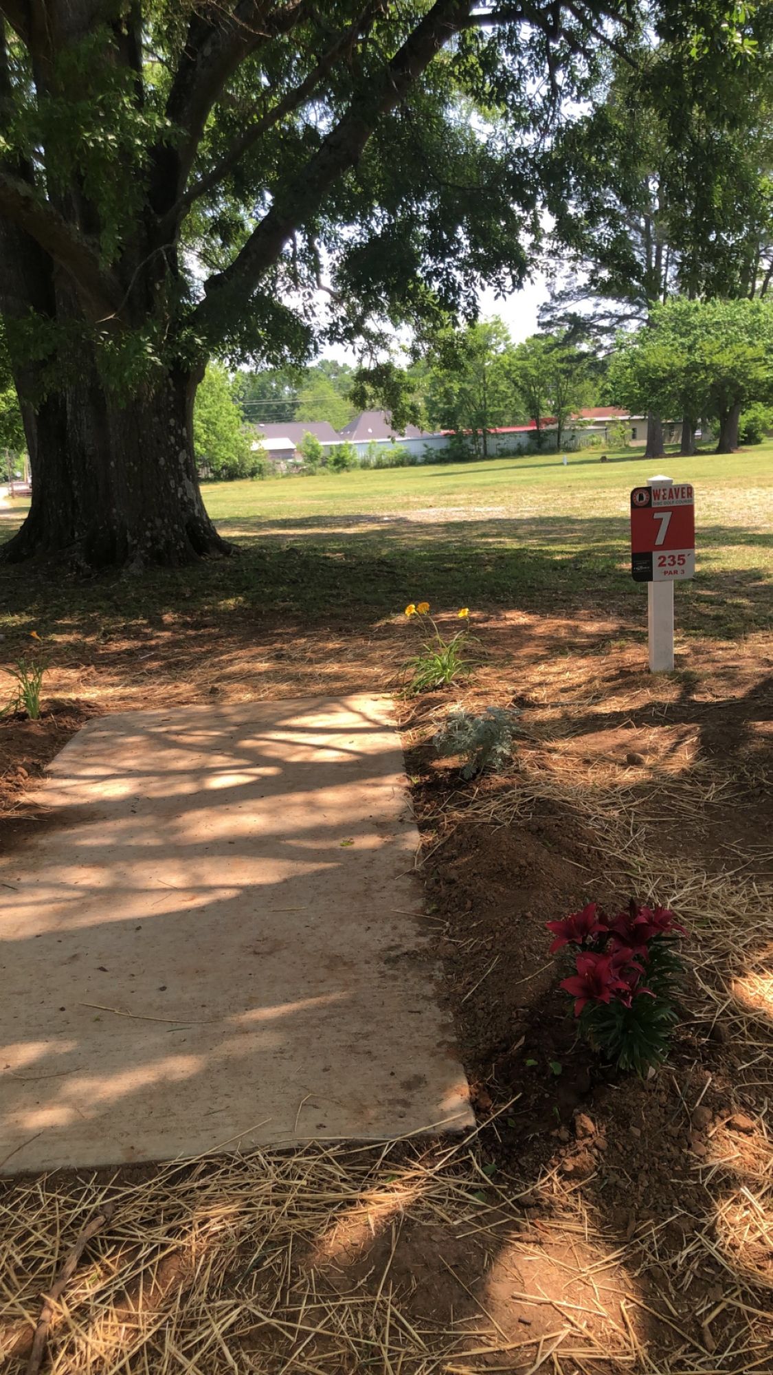 Low Celine, hole 6