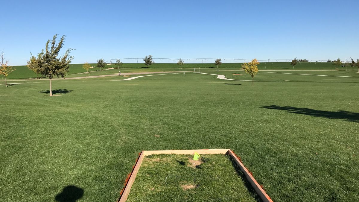 Hole 5