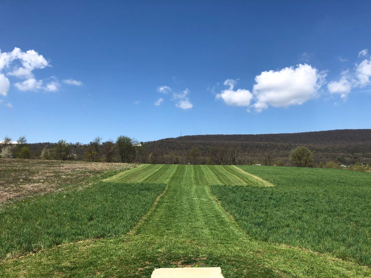 Hole 7 tee